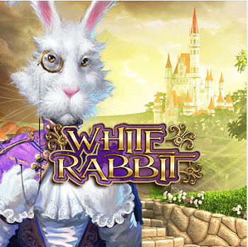 White Rabbit